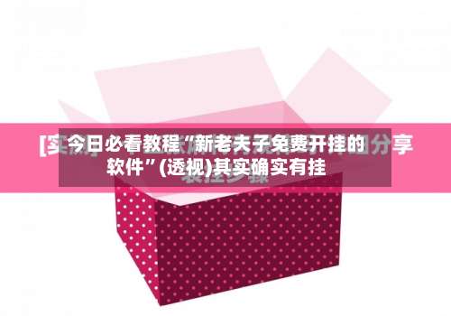 今日必看教程“新老夫子免费开挂的软件”(透视)其实确实有挂-第2张图片