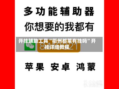 开挂辅助工具“衢州都莱有挂吗”开挂详细教程-第2张图片