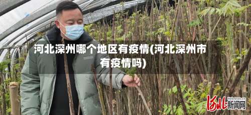河北深州哪个地区有疫情(河北深州市有疫情吗)-第1张图片