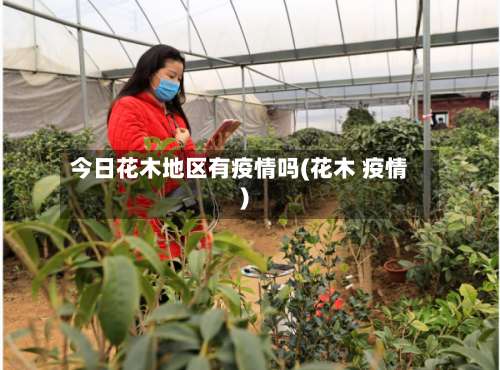 今日花木地区有疫情吗(花木 疫情)-第1张图片