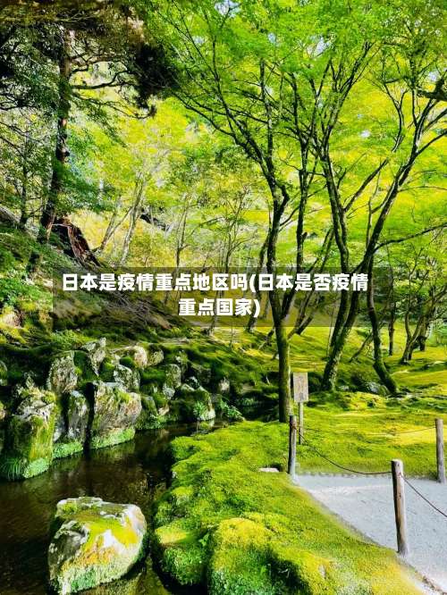 日本是疫情重点地区吗(日本是否疫情重点国家)-第2张图片