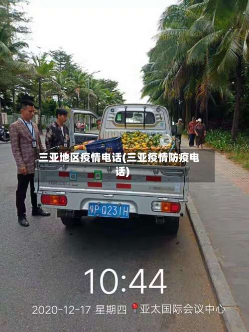 三亚地区疫情电话(三亚疫情防疫电话)-第3张图片