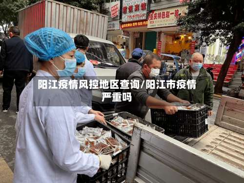 阳江疫情风控地区查询/阳江市疫情严重吗-第3张图片