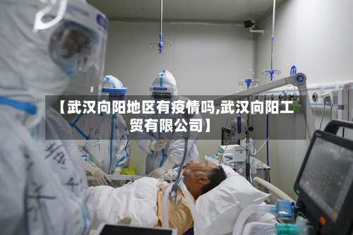 【武汉向阳地区有疫情吗,武汉向阳工贸有限公司】-第2张图片