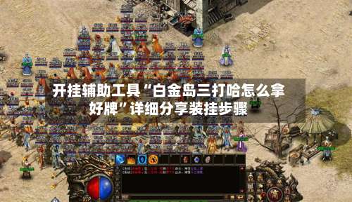 开挂辅助工具“白金岛三打哈怎么拿好牌	”详细分享装挂步骤-第1张图片