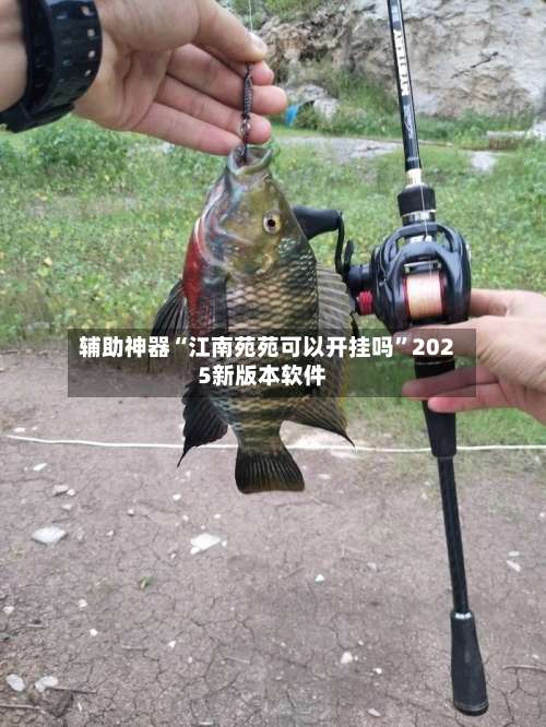 辅助神器“江南苑苑可以开挂吗”2025新版本软件-第3张图片