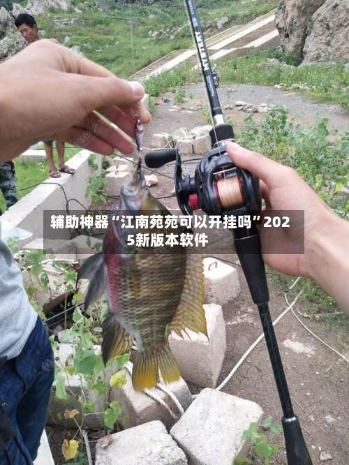 辅助神器“江南苑苑可以开挂吗”2025新版本软件-第1张图片