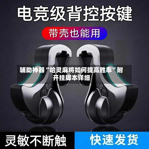 辅助神器“哈灵麻将如何提高胜率	”附开挂脚本详细-第2张图片