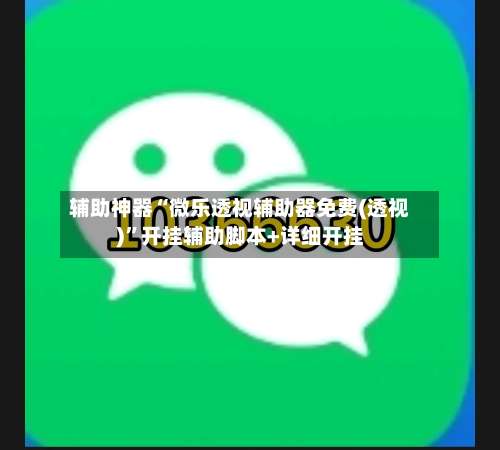 辅助神器“微乐透视辅助器免费(透视)”开挂辅助脚本+详细开挂-第2张图片