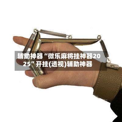 辅助神器“微乐麻将挂神器2025”开挂(透视)辅助神器-第1张图片