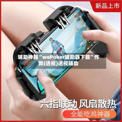 辅助神器“wePoker辅助器下载”作弊(透视)透视辅助-第2张图片