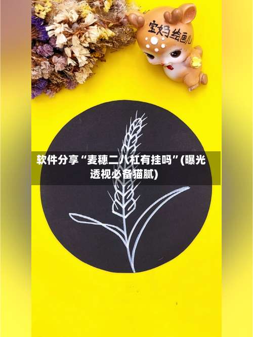 软件分享“麦穗二八杠有挂吗”(曝光透视必备猫腻)-第2张图片