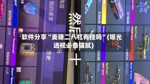 软件分享“麦穗二八杠有挂吗	”(曝光透视必备猫腻)-第1张图片