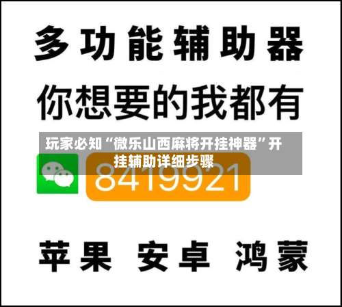 玩家必知“微乐山西麻将开挂神器”开挂辅助详细步骤-第2张图片