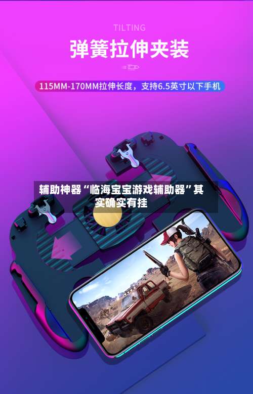 辅助神器“临海宝宝游戏辅助器	”其实确实有挂-第1张图片