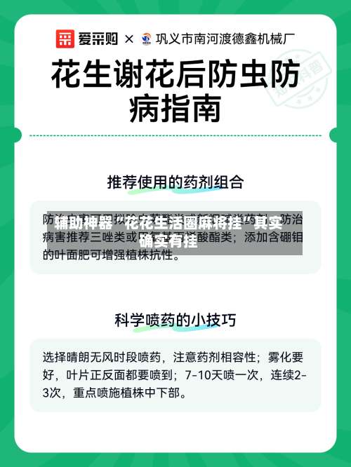辅助神器“花花生活圈麻将挂	”其实确实有挂-第1张图片