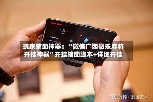 玩家辅助神器：“微信广西微乐麻将开挂神器”开挂辅助脚本+详细开挂-第2张图片