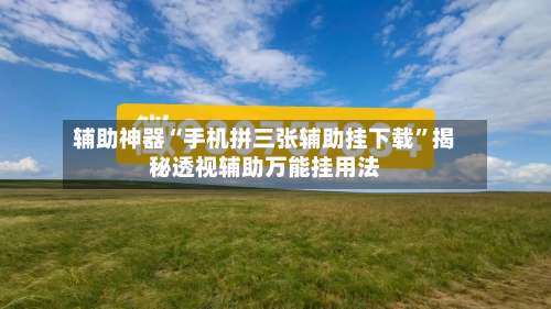 辅助神器“手机拼三张辅助挂下载”揭秘透视辅助万能挂用法-第3张图片