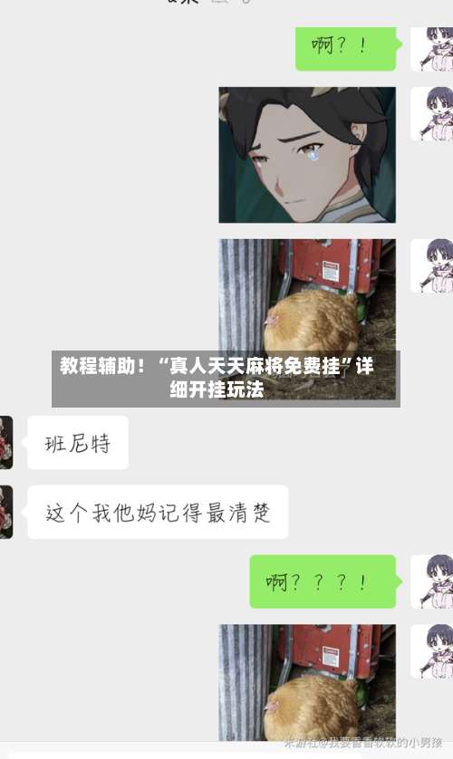 教程辅助！“真人天天麻将免费挂”详细开挂玩法-第2张图片