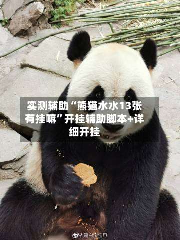 实测辅助“熊猫水水13张有挂嘛	”开挂辅助脚本+详细开挂-第1张图片