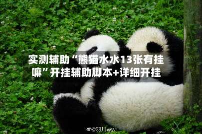 实测辅助“熊猫水水13张有挂嘛”开挂辅助脚本+详细开挂-第3张图片