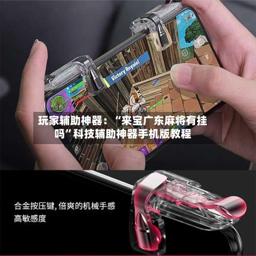 玩家辅助神器：“来宝广东麻将有挂吗”科技辅助神器手机版教程-第1张图片
