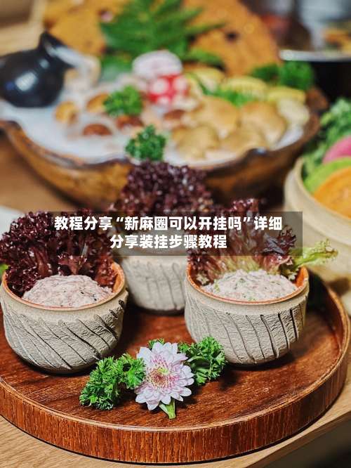 教程分享“新麻圈可以开挂吗”详细分享装挂步骤教程-第1张图片