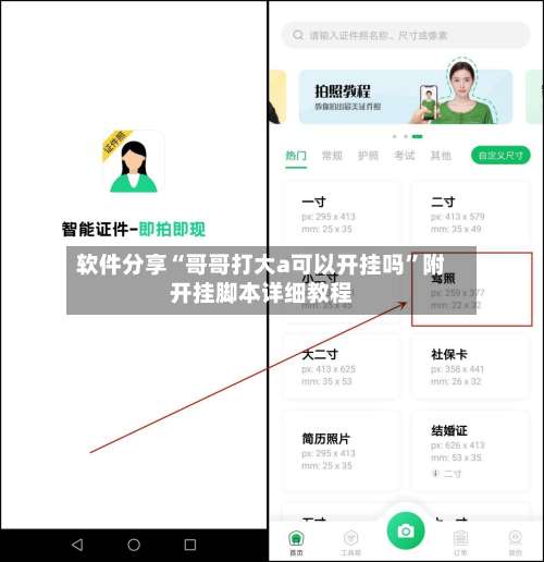 软件分享“哥哥打大a可以开挂吗”附开挂脚本详细教程-第1张图片