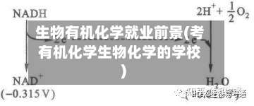 生物有机化学就业前景(考有机化学生物化学的学校)-第1张图片