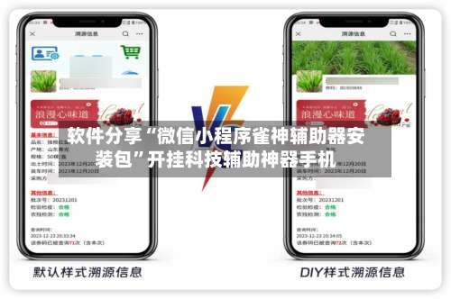 软件分享“微信小程序雀神辅助器安装包	”开挂科技辅助神器手机-第1张图片