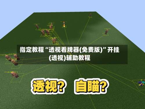 指定教程“透视看牌器(免费版)”开挂(透视)辅助教程-第1张图片