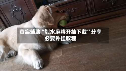 真实辅助“划水麻将开挂下载	”分享必要外挂教程-第2张图片
