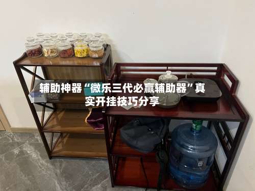 辅助神器“微乐三代必赢辅助器”真实开挂技巧分享-第1张图片