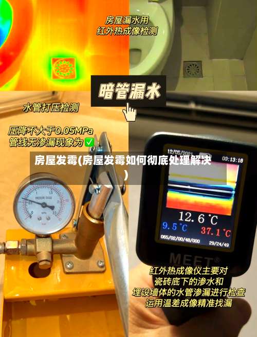 房屋发霉(房屋发霉如何彻底处理解决)-第1张图片