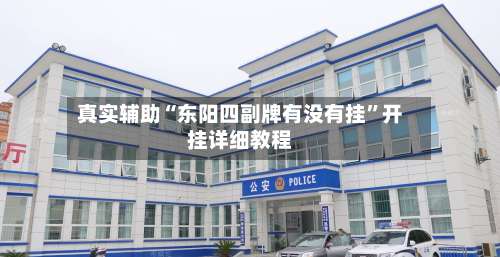 真实辅助“东阳四副牌有没有挂”开挂详细教程-第2张图片