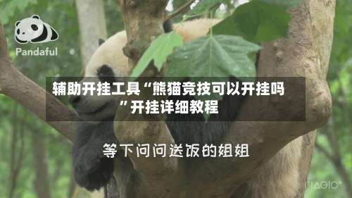 辅助开挂工具“熊猫竞技可以开挂吗	”开挂详细教程-第1张图片