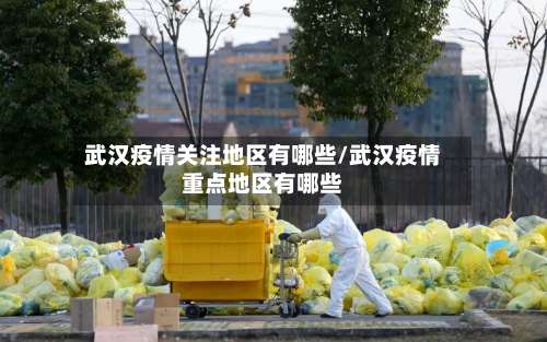 武汉疫情关注地区有哪些/武汉疫情重点地区有哪些-第2张图片