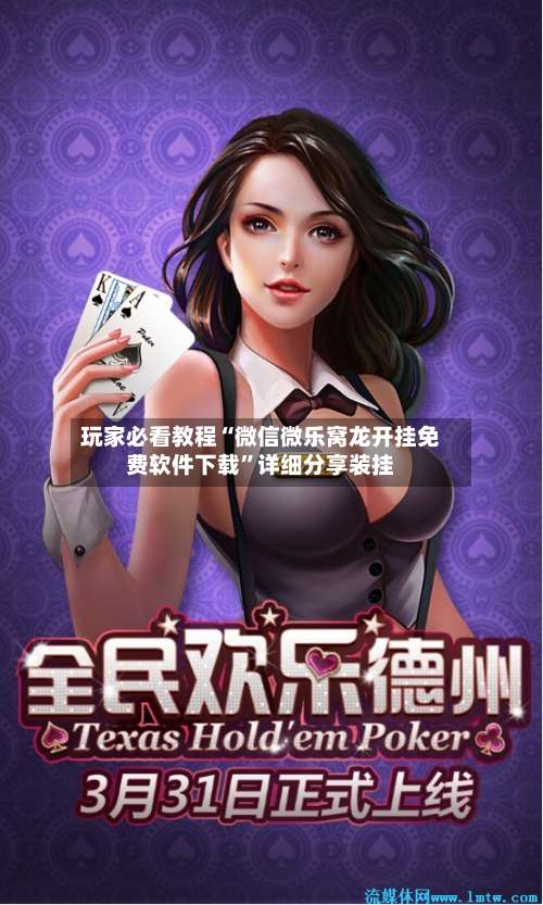 玩家必看教程“微信微乐窝龙开挂免费软件下载”详细分享装挂-第2张图片