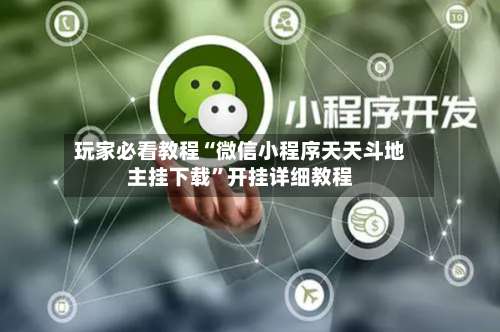 玩家必看教程“微信小程序天天斗地主挂下载	”开挂详细教程-第3张图片