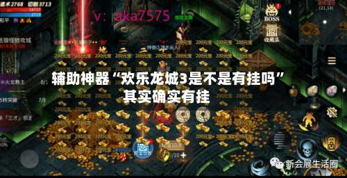 辅助神器“欢乐龙城3是不是有挂吗”其实确实有挂-第3张图片