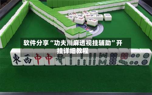 软件分享“功夫川麻透视挂辅助”开挂详细教程-第2张图片