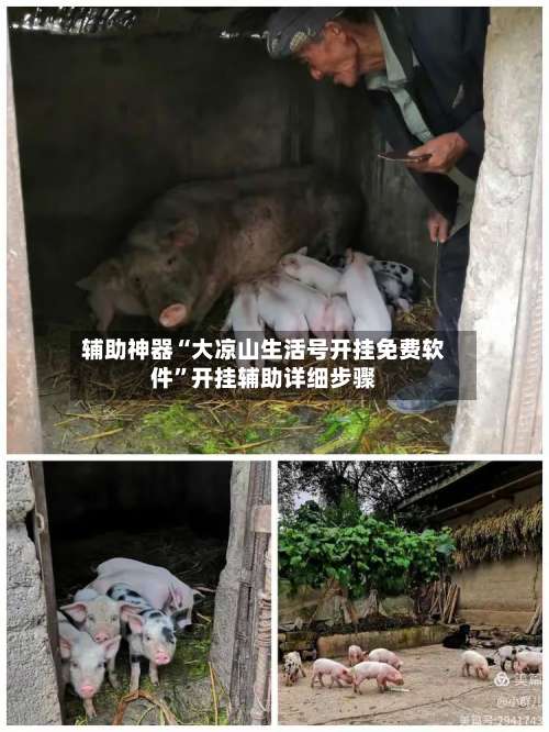 辅助神器“大凉山生活号开挂免费软件”开挂辅助详细步骤-第1张图片