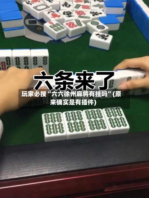 玩家必搜“六六徐州麻将有挂吗	”(原来确实是有插件)-第2张图片