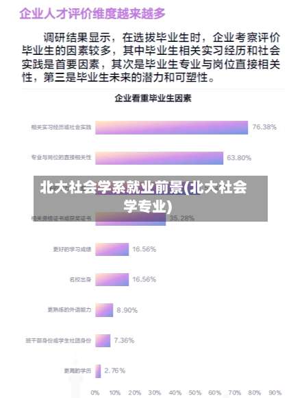 北大社会学系就业前景(北大社会学专业)-第2张图片