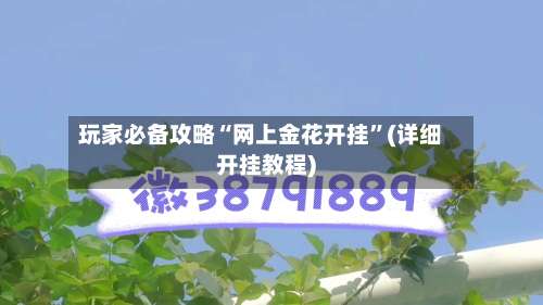 玩家必备攻略“网上金花开挂	”(详细开挂教程)-第2张图片