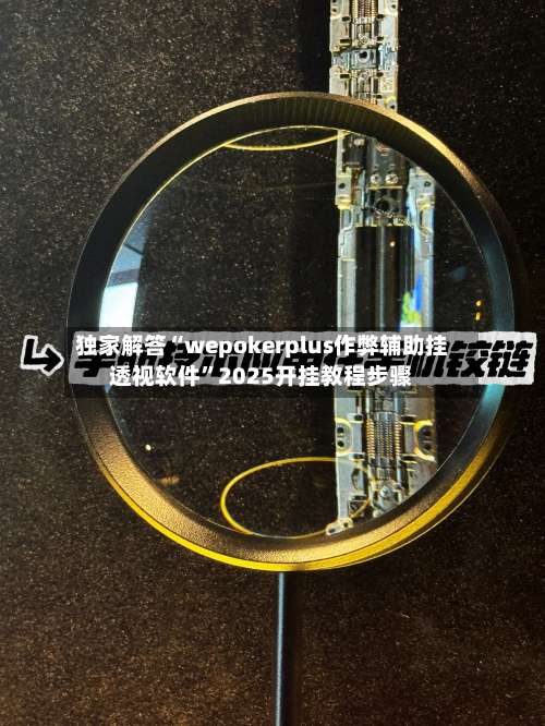 独家解答“wepokerplus作弊辅助挂透视软件”2025开挂教程步骤-第2张图片