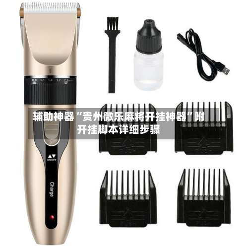 辅助神器“贵州微乐麻将开挂神器”附开挂脚本详细步骤-第3张图片