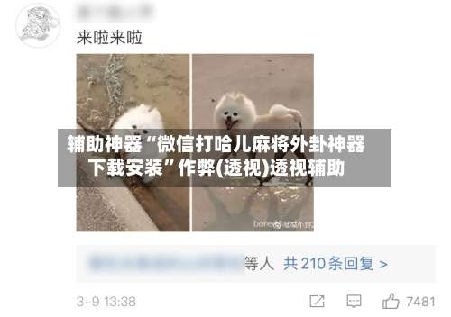 辅助神器“微信打哈儿麻将外卦神器下载安装”作弊(透视)透视辅助-第1张图片