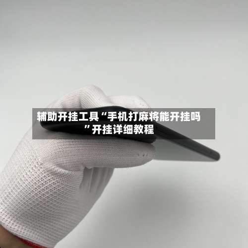 辅助开挂工具“手机打麻将能开挂吗”开挂详细教程-第3张图片