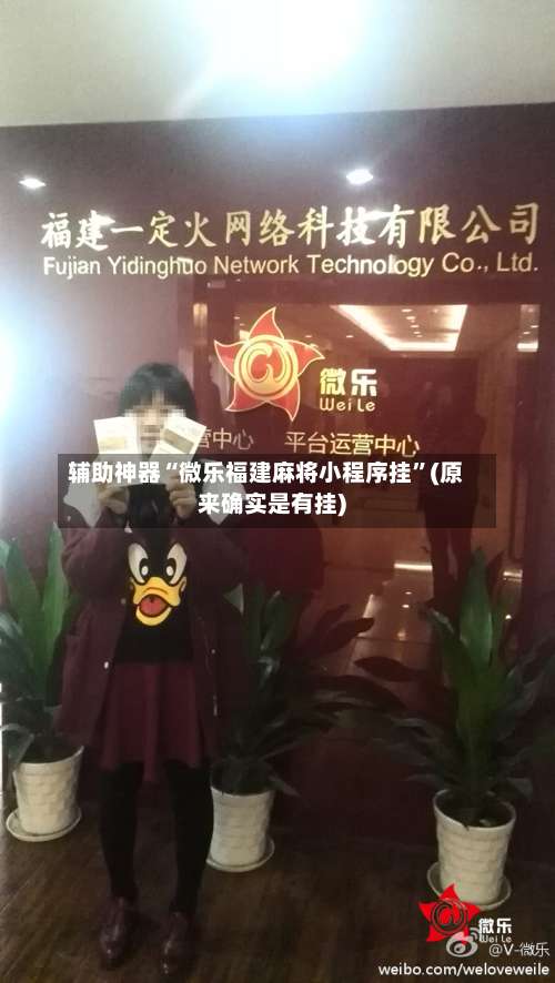 辅助神器“微乐福建麻将小程序挂”(原来确实是有挂)-第2张图片